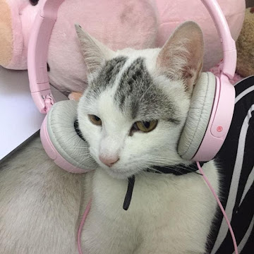 Foto de perfil de GATOCHENTE